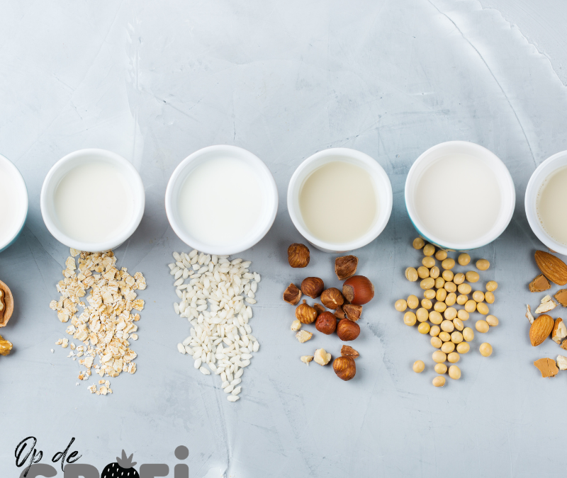 Welke plantaardige melkvervanger past bij een koemelkvrij dieet?