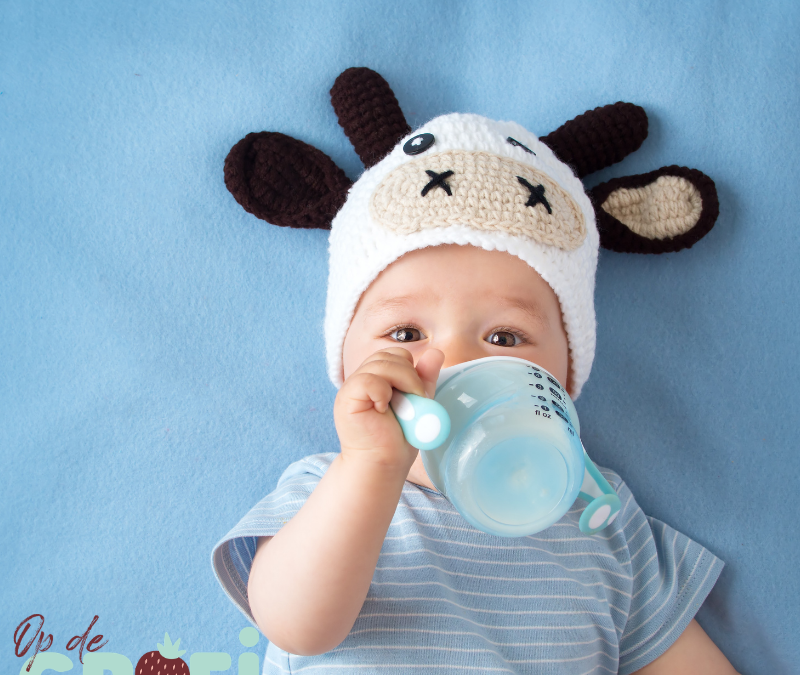 Welke flesvoeding is geschikt voor een baby met koemelkallergie?